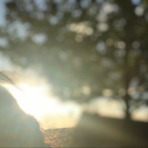 Meet your Posher, Candy